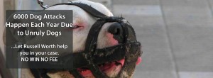 An image of a white agressive looking dog with a fairly worn out black muzzle on