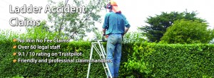 a man pruning a hedge on the top of a ladder